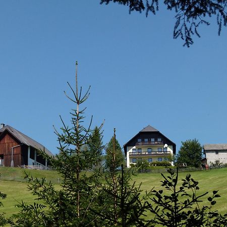 Ferienwohnungen Bachergut Mariapfarr Chambre photo