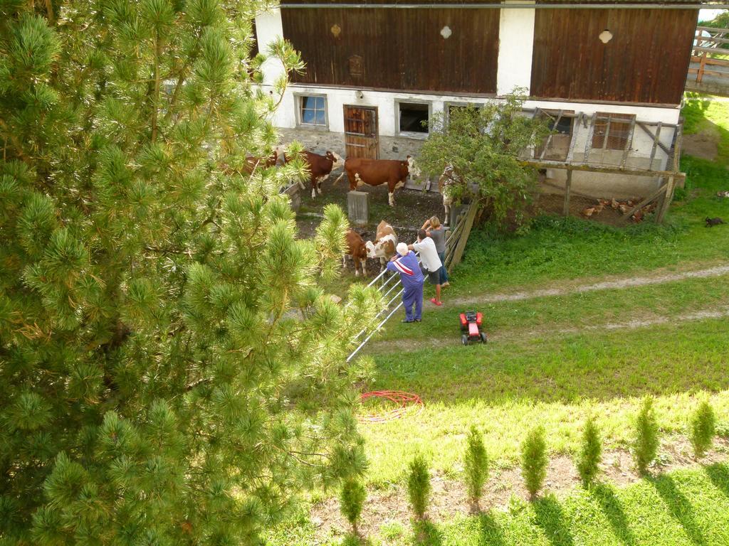 Ferienwohnungen Bachergut Mariapfarr Chambre photo
