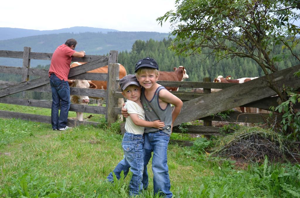 Ferienwohnungen Bachergut Mariapfarr Chambre photo